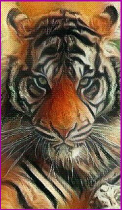 The Tiger Power Animal