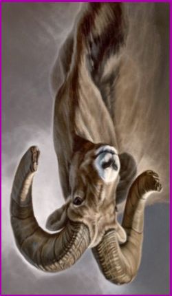 Ram spirit meaning