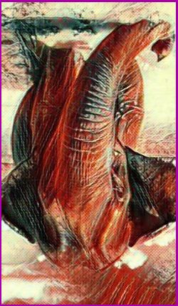 Elephant spirit meaning