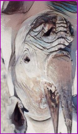 Rhino spirit meaning