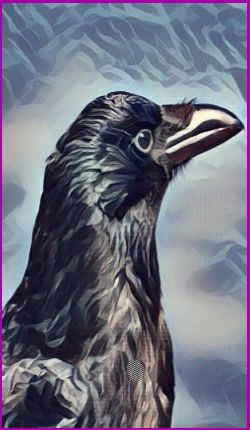 The Crow Power Animal 