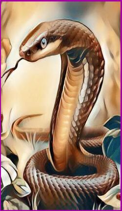 Meanings for your Spirit Animal Guides with The Snake Animal Spirit