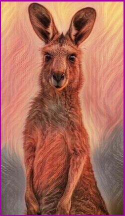 Meanings for your Spirit Animal Guides with The Kangaroo Animal Spirit