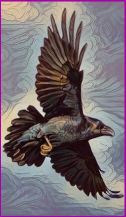 The Raven Power Animal