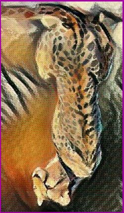 cheetah spirit meaning