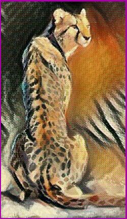 Meanings for your Spirit Animal Guides with The Cheetah Animal Spirit
