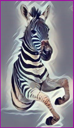 Zebra spiritual meaning