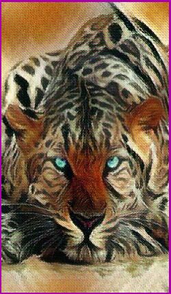 Jaguar Spirit Animal Meanings