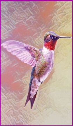 The Hummingbird Power Animal