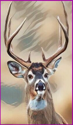 Meanings for The Deer Animal Spirit