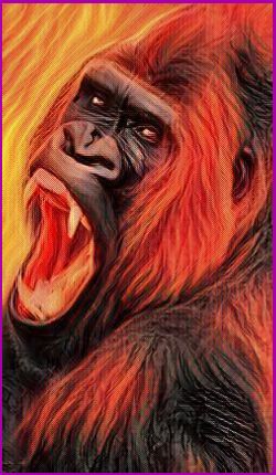 Meanings for your Spirit Animal Guides with The Gorilla Animal Spirit